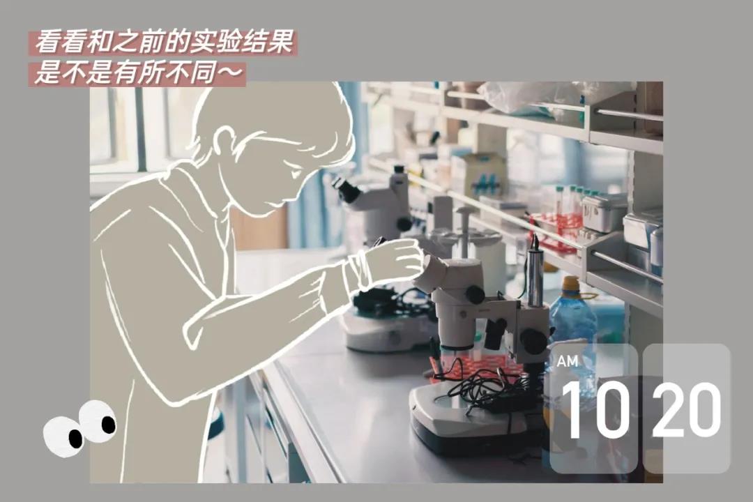 送你這本plog手帳，解鎖深大人的一天！